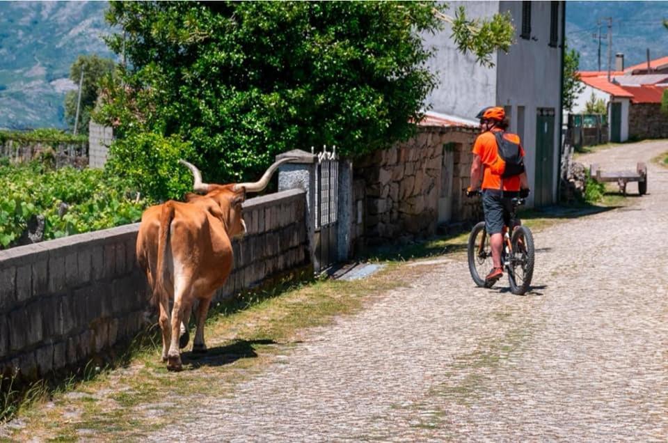 Olhares Do Lobo Villa Ponte da Barca Eksteriør bilde